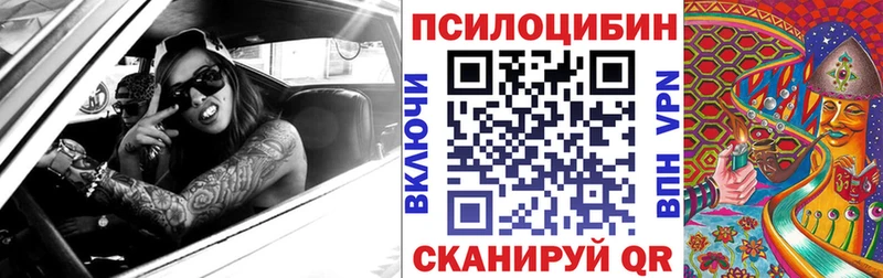 Псилоцибиновые грибы мицелий  hydra как войти  Петровск 
