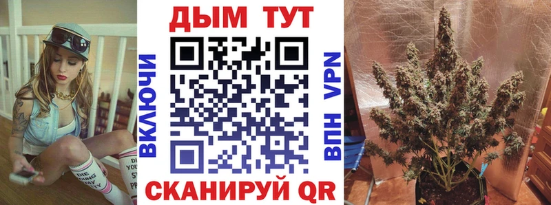 Бошки Шишки OG Kush  продажа наркотиков  ОМГ ОМГ рабочий сайт  Петровск 